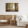 Stupell Industries Follow The Light Forest Path Canvas Art - 3 of 4