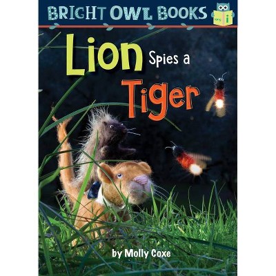 Lion Spies a Tiger - (Bright Owl Books) by  Molly Coxe (Paperback)