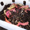 Vego 2pk Outdoor In Ground Composter Twin Packs - 2 of 3