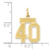 Black Bow Jewelry 14k Yellow Gold, Jersey Collection, Small Number 40 Pendant - 4 of 4