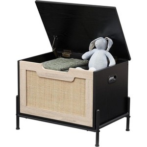 Rattan Storage Bench with Flip Top Lid Dual Safety Hinges, Reinforced Design for Entryway, Living Room, or Bedroom, Easy Assembly Organizer - 1 of 4