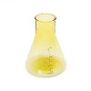Science Accessories Conical Beaker - Bullseye's Playground™ - 2 of 3