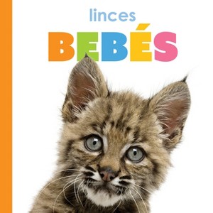 Linces Bebés - by  Kim Thompson (Paperback) - 1 of 1