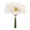 Gerbera Daisy Floral Bundle (Set of 6) - 2 of 2