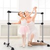 Costway 4ft Portable Double Freestanding Ballet Barre Dancing Stretching  Silver : Target