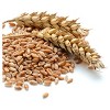 Augason Farms Hard White Wheat Emergency Food - 24lbs - image 2 of 4