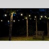 24ct Classic Café Outdoor String Lights Integrated LED Bulb - Black Wire - Enbrighten - image 4 of 4