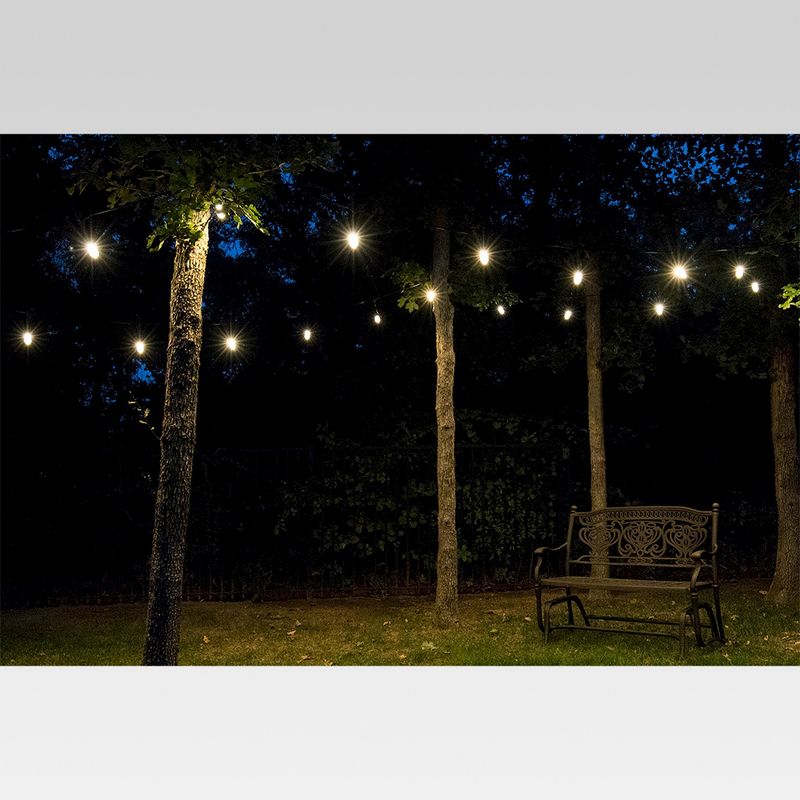24ct Classic Caf&#233; Outdoor String Lights Integrated LED Bulb - Black Wire - Enbrighten, 5 of 8