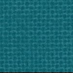 jacksonville jaguars