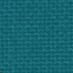jacksonville jaguars