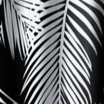 black graphic palm