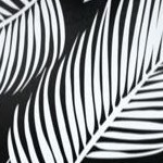 black graphic palm
