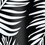 black graphic palm