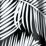 black graphic palm