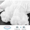 Aghana Digitals Hotel Collection Queen Bed Pillows Set of 2, Soft Microfiber - 2 of 4