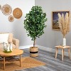 HomeStock  6 ft. Artificial Ficus Tree in Planter for Indoor/Outdoor - 4 of 4