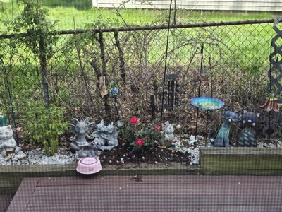 Guest review image 1 of 1, zoom in