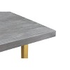 71" Raven Mango Wood Dining Table Gray/Gold - Timbergirl - 3 of 4