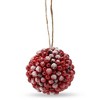Ornativity Frosted Red Berries Ornaments - 12 Pack - 2 of 4