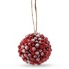 Ornativity Frosted Red Berries Ornaments - 12 Pack - image 2 of 4