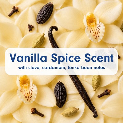 Softsoap Liquid Hand Soap - Vanilla Spice - 11.25 fl oz