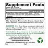 Ginkgo Biloba 120 mg 120 Capsules - 2 of 4