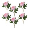 Peony Floral Spray (Set of 6) - 2 of 4
