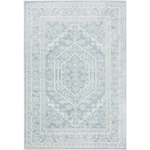 Adirondack ADR108 Non-Shedding Power Loomed Indoor Rugs - Safavieh - 1 of 4