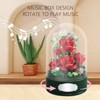 Rose Music Box Building Blocks Set - Transparent Cover with Rotating Base, DIY Gift for Adults, Romantic Home Decor, Plays Classic Melodies - 2 of 4
