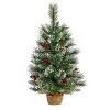 2ft. Snow Tipped Pine & Berry Artificial Christmas Tree with 35 Warm White LED Lights in Burlap Base – Rustic X-Mas Accent - 3 of 4