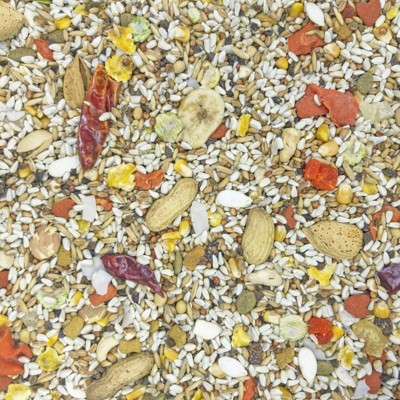 Higgins Safflower Gold Premium Parrot Food, 25-lb Bag