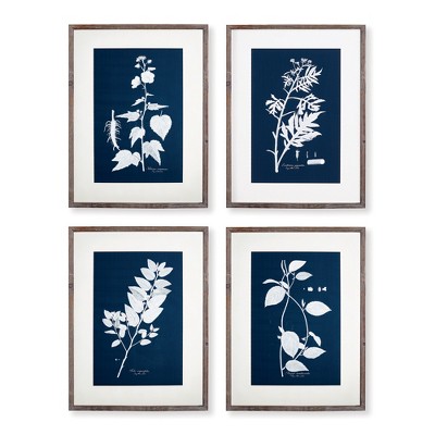 Plum & Post Cyano Botanical Leaf Study Set of 4