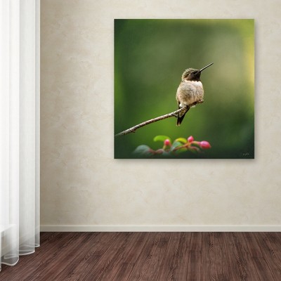 Hummingbird on Branch Green Canvas Art, 14x14