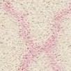 ivory/light pink