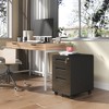 Yukimo 23"H Lockable Mobile File Cabinet - Fully Assembled All-Steel with Casters, Wide Drawers for A4/Letter Files, Black (Home/Office) - 2 of 4