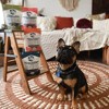 Treat Collective Salmon Flavor Chewy Training Dog Treats - 9oz - 4 of 4