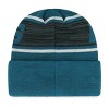 NFL Philadelphia Eagles Bitter Knit Beanie - 2 of 2