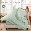 260 Thread Count Organic Cotton Percale Bed Sheet Set by Bare Home - 2 of 4