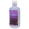 R+CO Sunset Blvd Blonde Shampoo 8.5 oz - 3 of 4