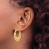 Black Bow Jewelry 5mm x 29mm Polished 14k Yellow Gold Hollow Oval Shrimp Hoop Earrings - 3 of 4