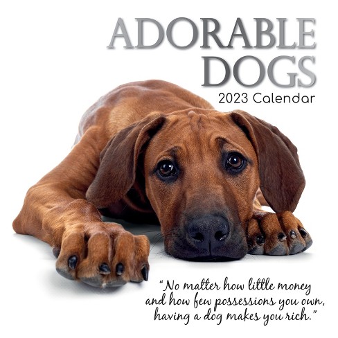 2023-square-wall-calendar-adorable-dogs-16-month-animals-theme-with-180-reminder-stickers-12-x-12-in-target