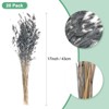 Unique Bargains Dried Grass Chasmanthium Oat Home Decor Flower Bouquet 1 Pc - 3 of 4