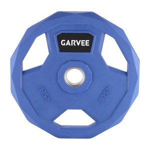 2 Inch Bumper Weight Plate, Rubber Coated Weight Plate for Home Gym, Cast Iron Barbell Weight Plate for Strength Training Weightlifting - 1 of 4