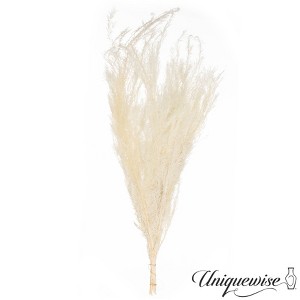 Uniquewise Preserved Real Floral Stems Chic Vase Fillers & Accents for Bouquets Centerpieces - 1 of 4