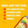 Evolution Fresh Tropical Mango Real Fruit Soda - 12 fl oz - 4 of 4
