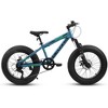Whisen 20 Inch Fat Tire Bike Adult 7 Speed Mountain Bike, Dual Disc Brakes, High Carbon Steel Frame - Blue - 2 of 4