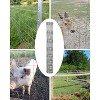 4 x 328FT Heavy Duty Galvanized Cattle Fence - Zinc Coated Welded Wire for Livestock, Deer & Hog Protection, Durable Yard Fencing - 4 of 4