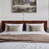 AFI Furnishings Orlando Queen Headboard with Turbo Charger in Walnut - 2 of 4