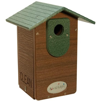 brazilian walnut and green (eastern and western)