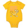 Disney Baby Girls 3 Pack Bodysuits Newborn to Infant Sizes (Newborn - 24 Months) - 3 of 4
